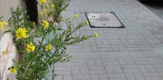 Ulica Legionów w Tarnowie