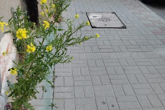 Ulica Legionów w Tarnowie