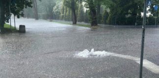 Sporo zalanych i podtopionych miejsc po ulewie w Tarnowie