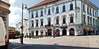 Strażnicy miejscy zbyt surowi dla kierowców