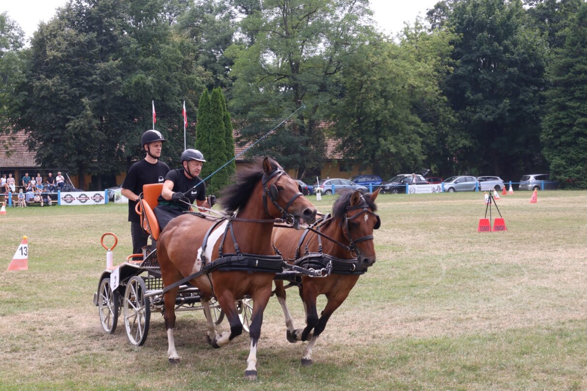 Małopolskie Mistrzostwa w Powożeniu Zaprzęgami Konnym