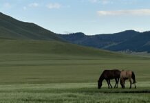 Fot. archiwum bohatera