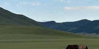 Fot. archiwum bohatera