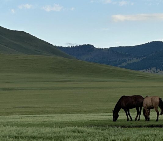 Fot. archiwum bohatera