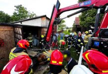 Interwencja strażaków ws poszkodowanego konia w Zabłędzy