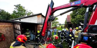 Interwencja strażaków ws poszkodowanego konia w Zabłędzy