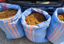 150 kg tytoniu w rękach policjantów, Fot. KMP w Tarnowie