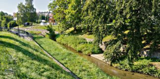 Od dłuższego czasu w korycie Wątoku zalega gruba warstwa mułu