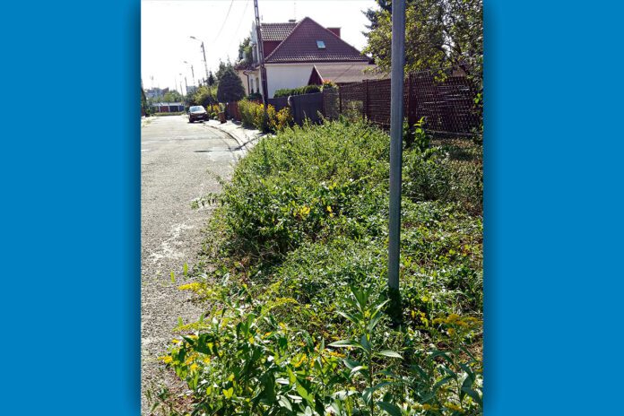 Ulica Moniuszki w Tarnowie