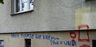 Mozolna walka z ulicznymi wandalami