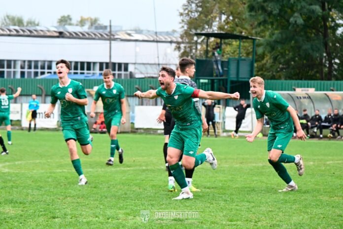 V liga: Okocimski Brzesko wygrał z Metalem Tarnów w hicie 10. kolejki