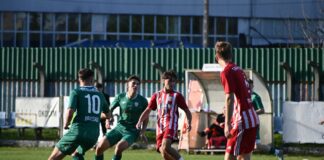 Tarnovia Tarnów urwała punkty liderowi – Okocimskiemu Brzesko