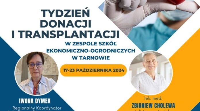 Transplantacja 2024