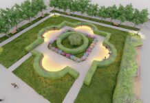 Ryk silników czy muzyka na rynku? Wizualizacja rynku w Dąbrowie Tarnowskiej