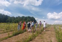 fot. arch. Stowarzyszenie Kreowania Inicjatyw Lokalnych