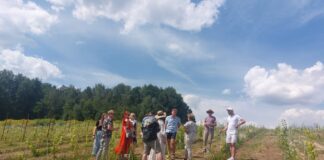 fot. arch. Stowarzyszenie Kreowania Inicjatyw Lokalnych