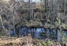 Bobry Małochlebówka