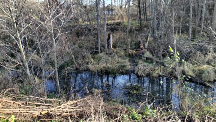 Bobry Małochlebówka