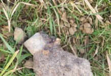 Granat w Tarnowie, fot. KMP w Tarnowie