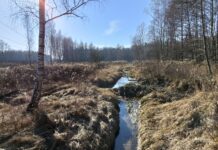 Bobry Wola Rzędzińska