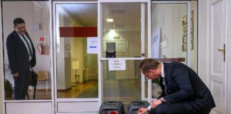 Koty w Urzędzie Miasta Tarnowa