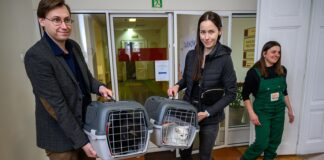 Koty zamieszkały w tarnowskim magistracie