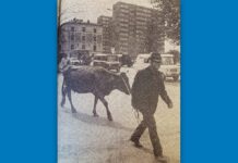 Niezwykła scena ze współczesnego Tarnowa