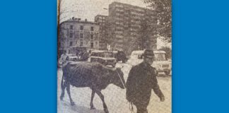 Niezwykła scena ze współczesnego Tarnowa