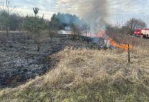 Plaga pożarów na nieużytkach rolnych
