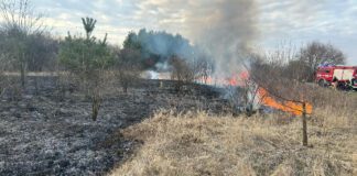 Plaga pożarów na nieużytkach rolnych