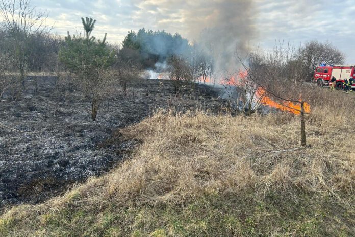 Plaga pożarów na nieużytkach rolnych