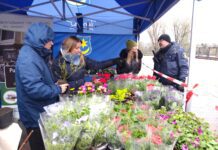 Elektroodpady oddajesz – drzewko dostajesz