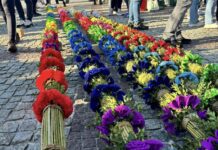 Lipnica Murowana: Palma na ponad 28 metrów wysokości Fot. Gmina Lipnica Murowana