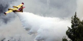 Pożar lasu gaszono z powietrza