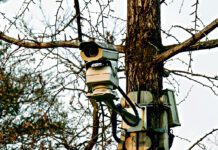 W lasach zamontowany zostanie nowoczesny monitoring