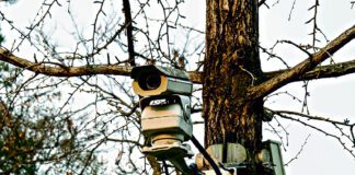 W lasach zamontowany zostanie nowoczesny monitoring