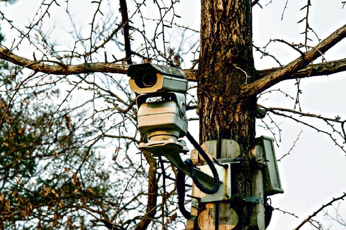 W lasach zamontowany zostanie nowoczesny monitoring