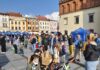 Piknik Rynek