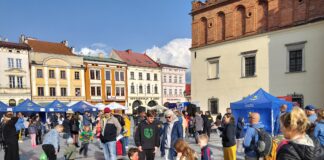 Piknik Rynek