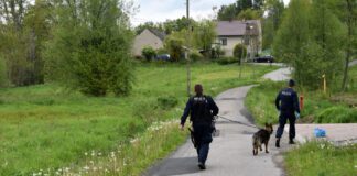 poszukiwania zaginionej kobiety