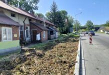 Wycinka ul. Tuchowska