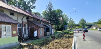 Wycinka ul. Tuchowska