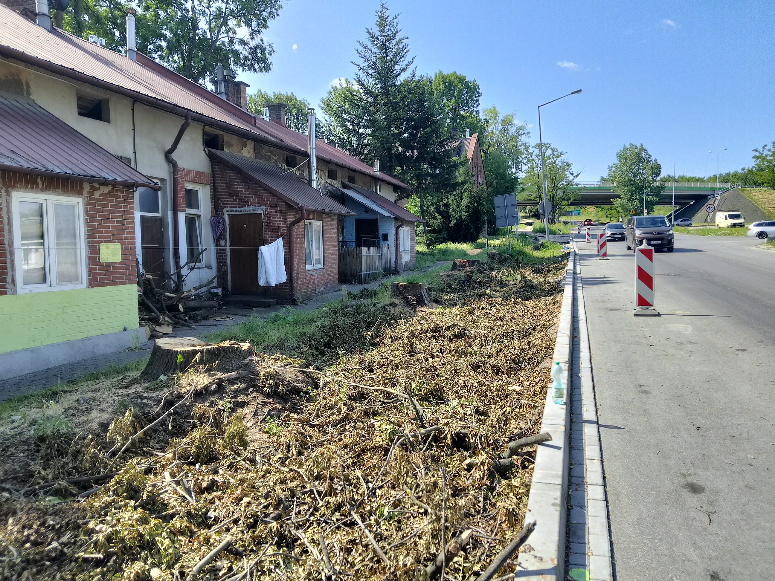 Piły poszły w ruch. Zniknęły drzewa wzdłuż ul. Tuchowskiej [ZDJĘCIA]