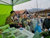 Doradcy ds. klimatu i środowiska – wsparcie dla mieszkańców Małopolski dzięki LIFE-IP EKOMAŁOPOLSKA