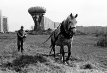 Czy można być dumnym z Tarnowa