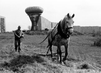 Czy można być dumnym z Tarnowa