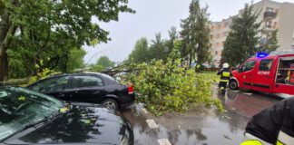 Nawałnica nad Brzeskiem wyrządziła wiele szkód