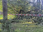 Połamane drzewa w Parku Strzeleckim