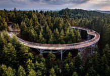 Ciężkowice - ścieżka w koronach drzew