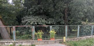 Drewniany krzyż ul. Braci Saków